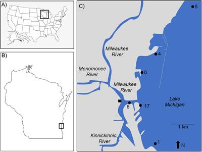 Microplastics in Invasive Freshwater Mussels (Dreissena sp.): Spatiotemporal Variation and Occurrence With Chemical Contaminants